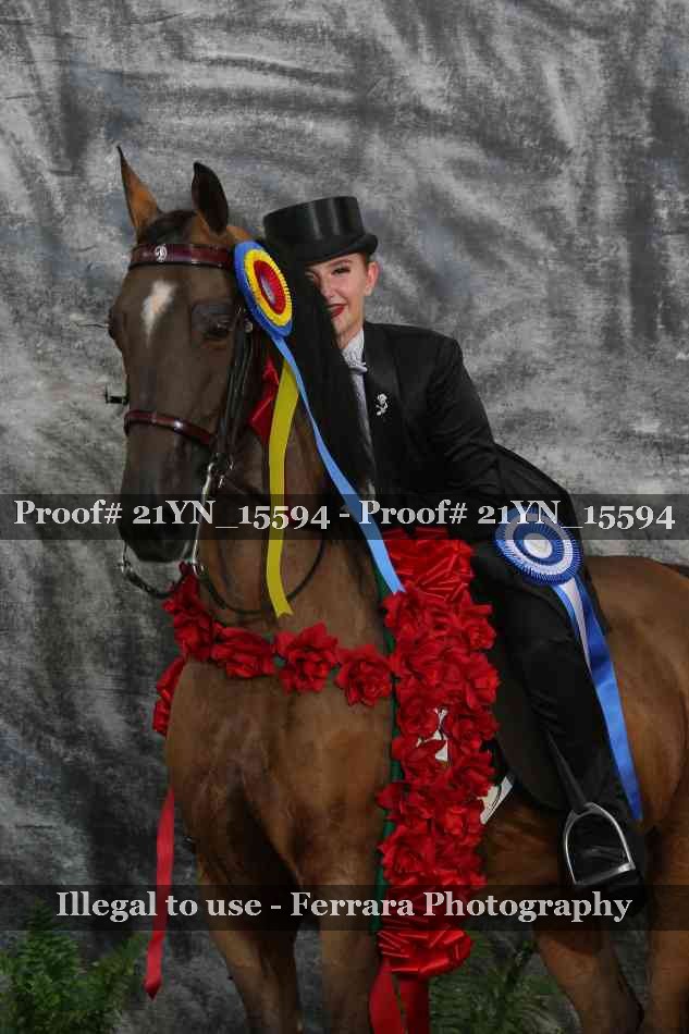 Proof 21YN_15594