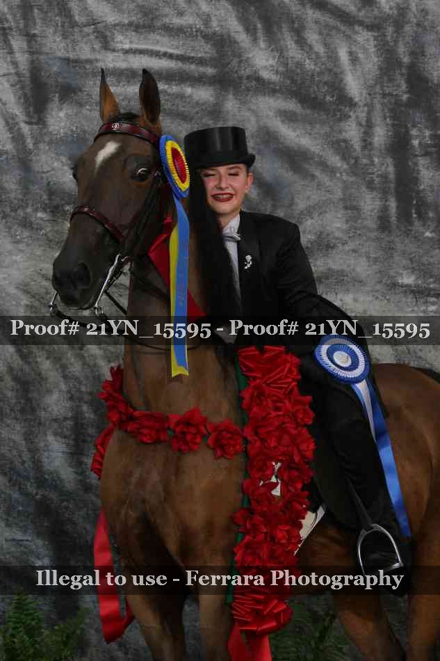Proof 21YN_15595