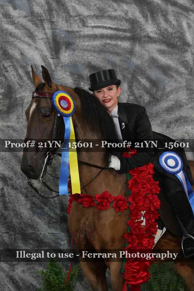 Proof 21YN_15601