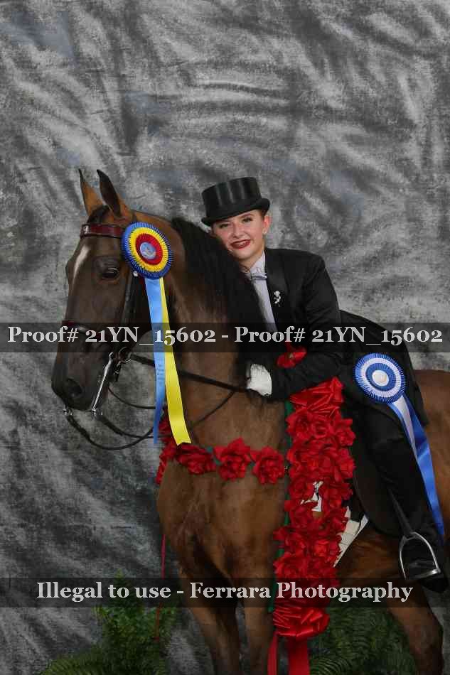 Proof 21YN_15602