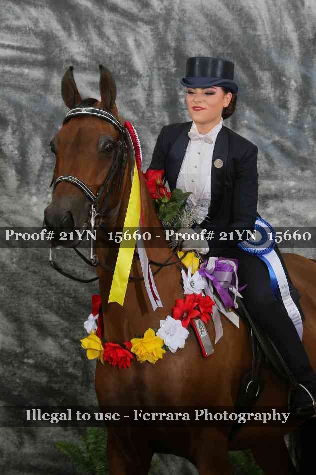 Proof 21YN_15660