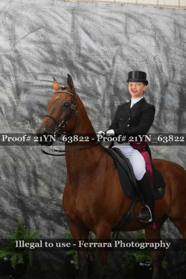 Proof 21YN_63822