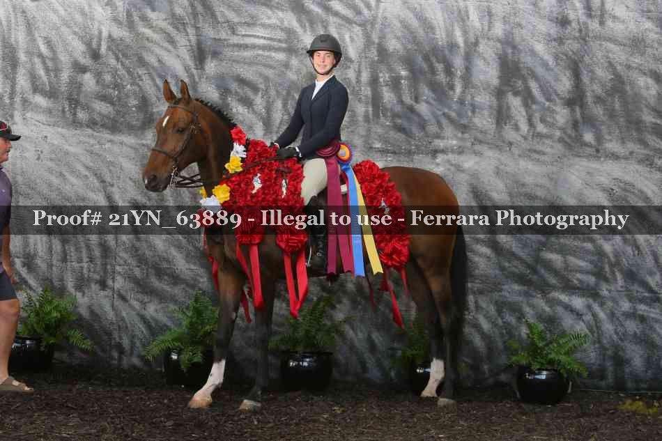 Proof 21YN_63889