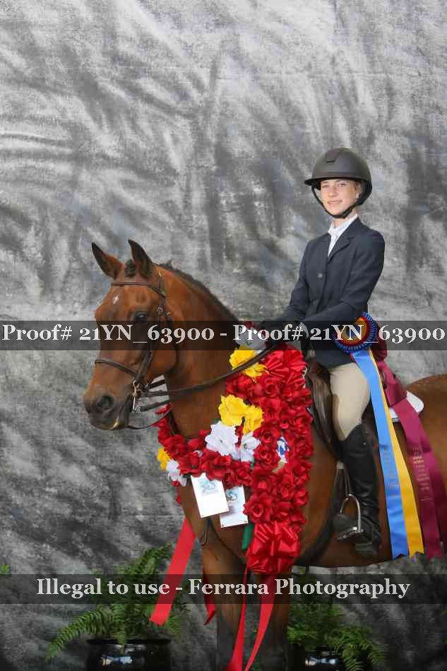 Proof 21YN_63900