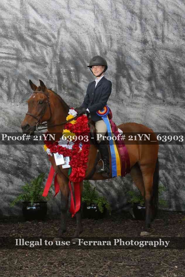 Proof 21YN_63903