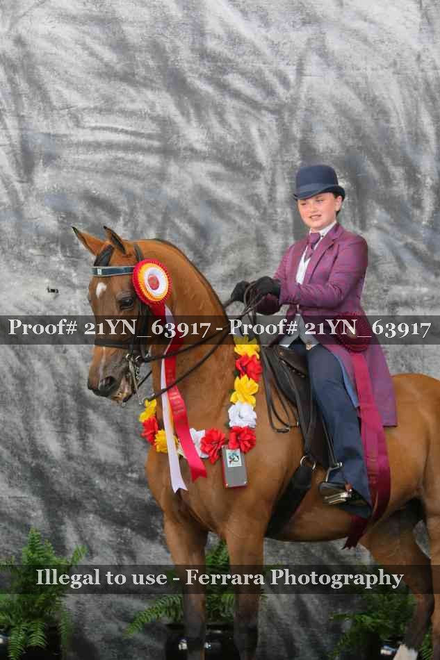 Proof 21YN_63917