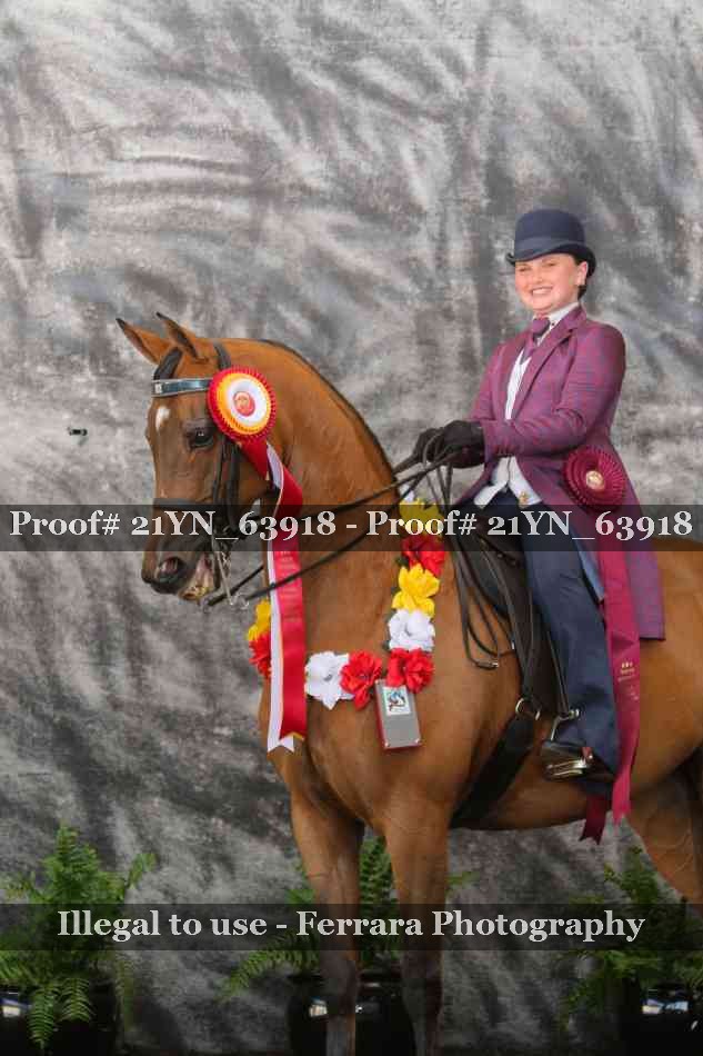 Proof 21YN_63918