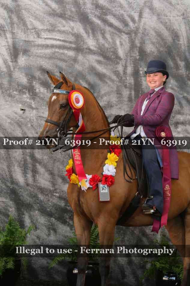 Proof 21YN_63919