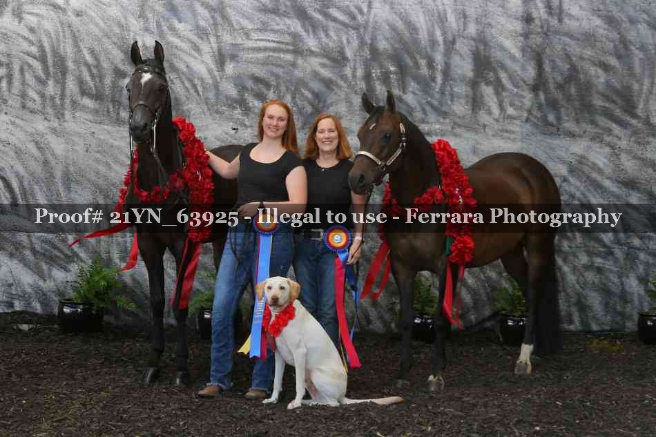 Proof 21YN_63925