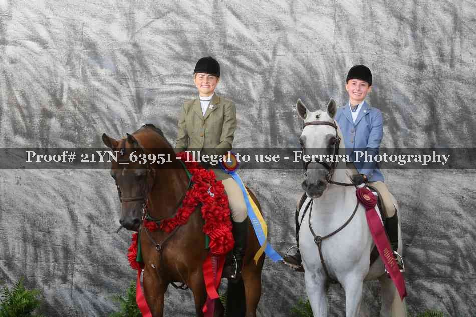 Proof 21YN_63951