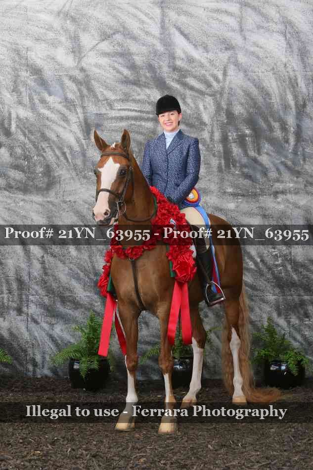 Proof 21YN_63955