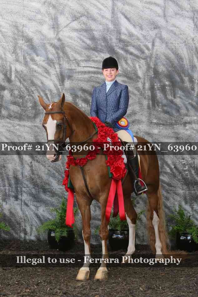 Proof 21YN_63960