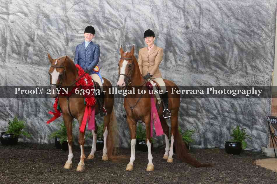 Proof 21YN_63973