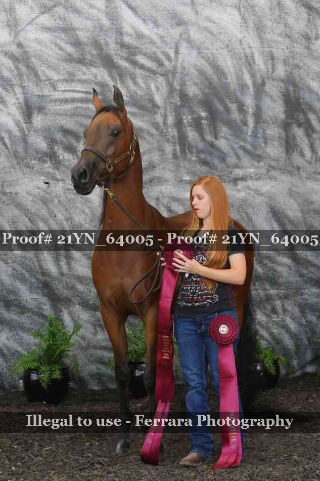Proof 21YN_64005