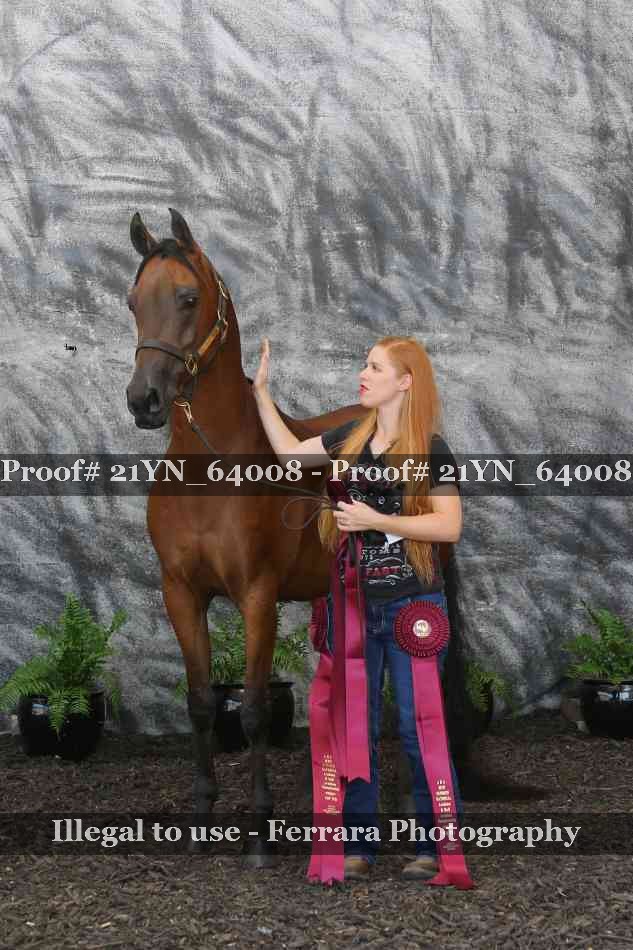 Proof 21YN_64008
