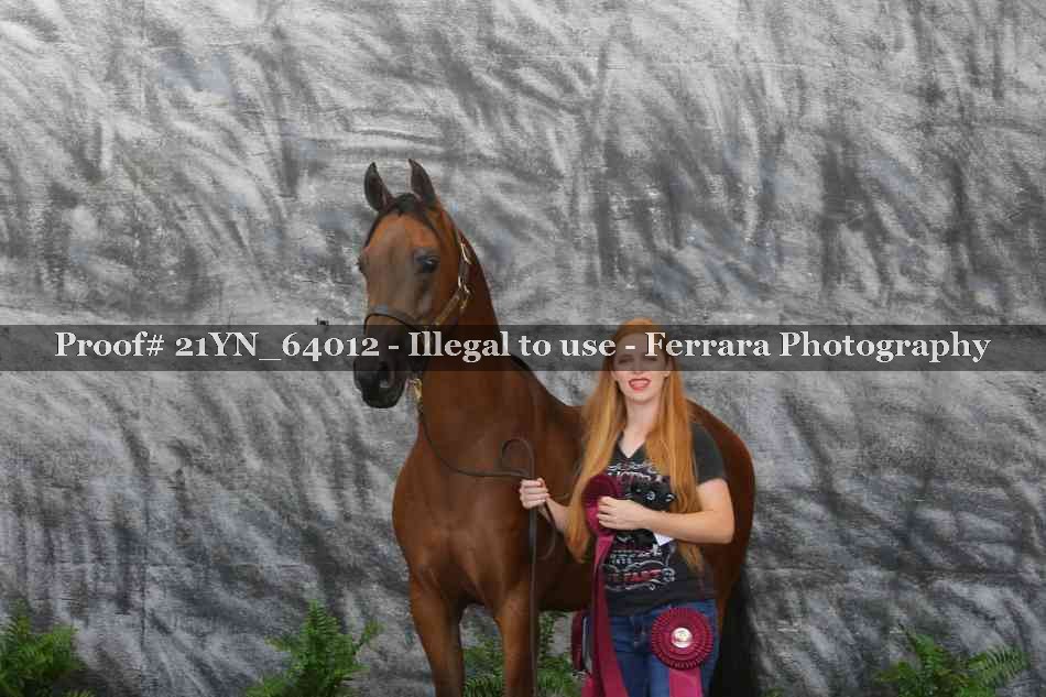 Proof 21YN_64012