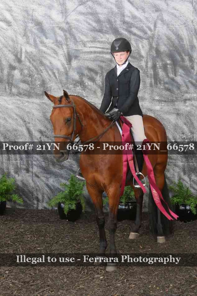 Proof 21YN_66578