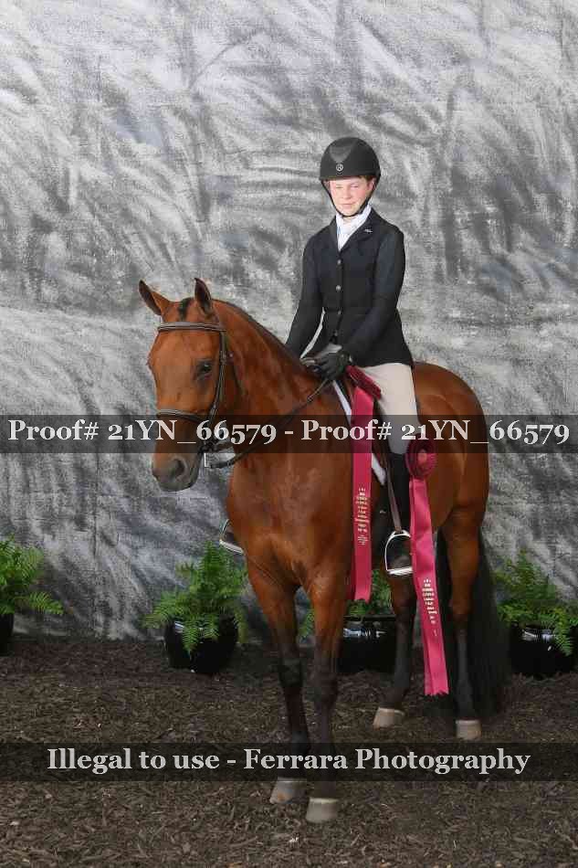Proof 21YN_66579
