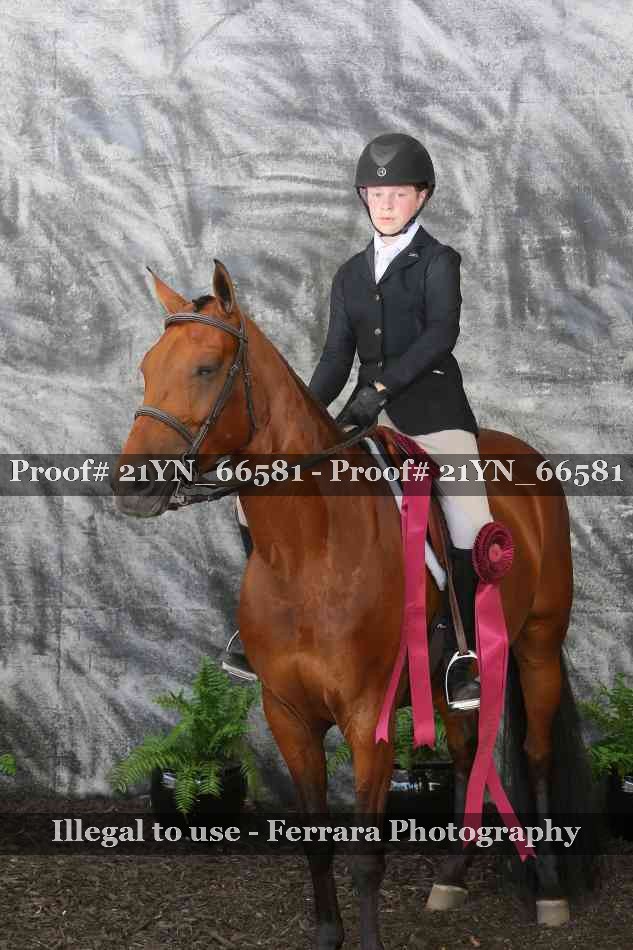 Proof 21YN_66581