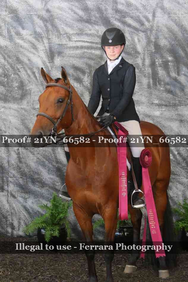 Proof 21YN_66582