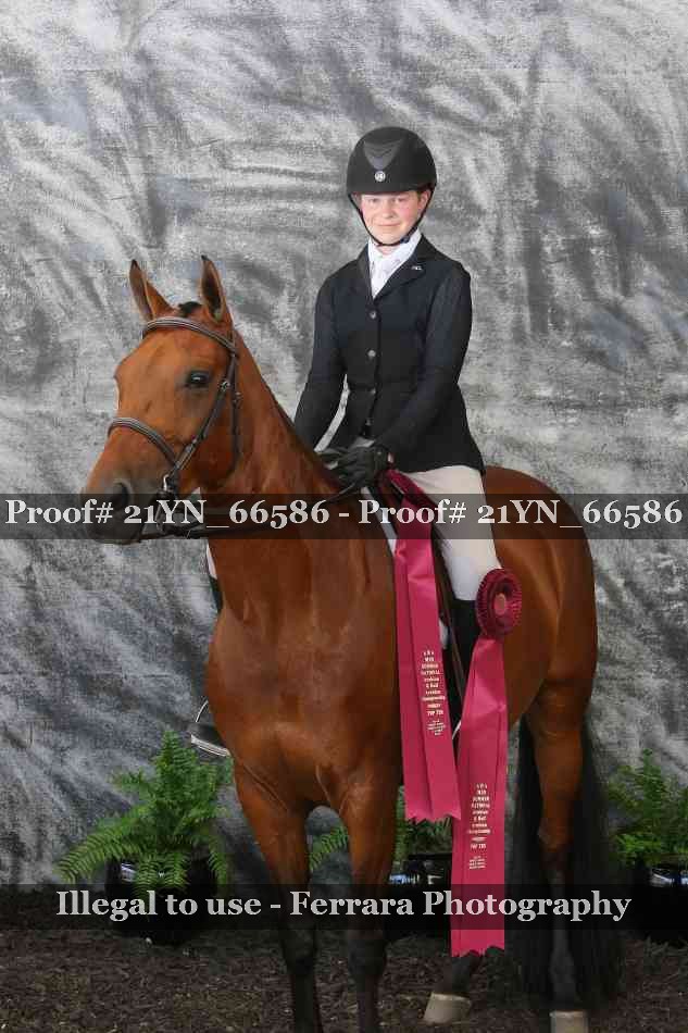Proof 21YN_66586