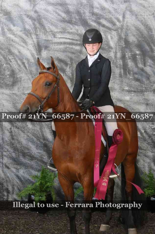 Proof 21YN_66587