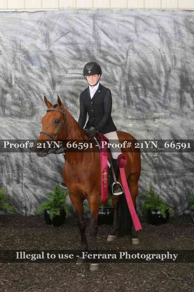 Proof 21YN_66591