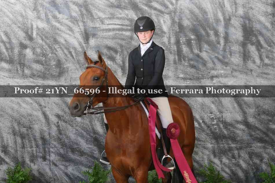 Proof 21YN_66596