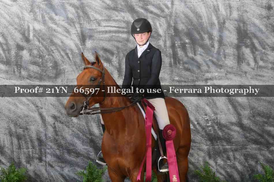 Proof 21YN_66597