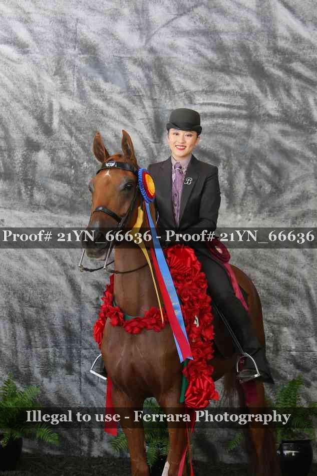Proof 21YN_66636
