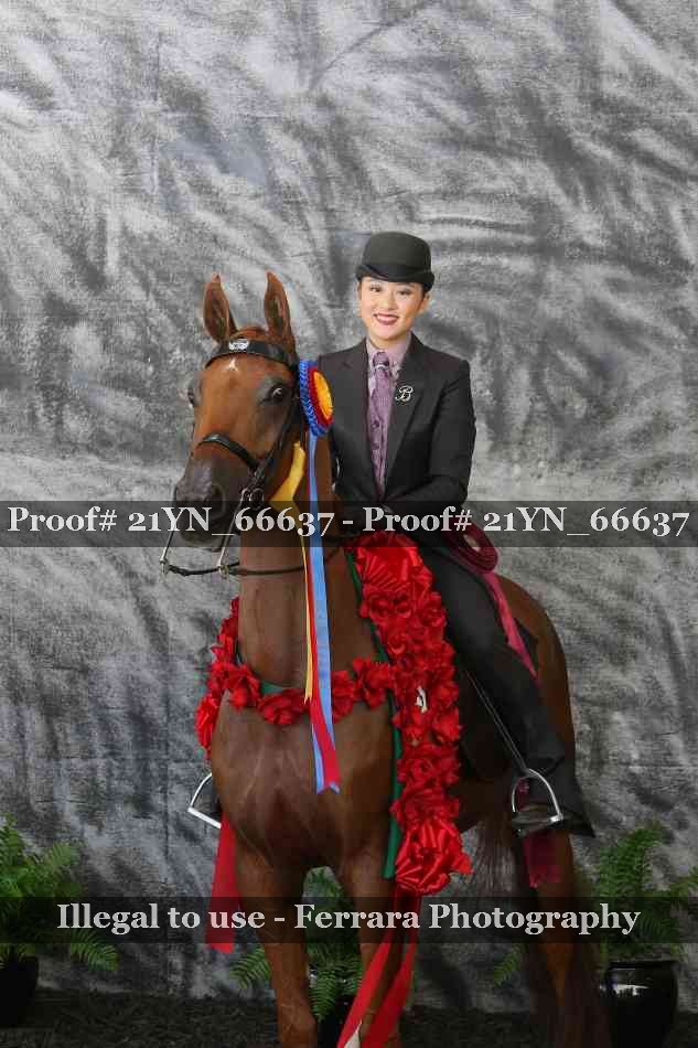 Proof 21YN_66637