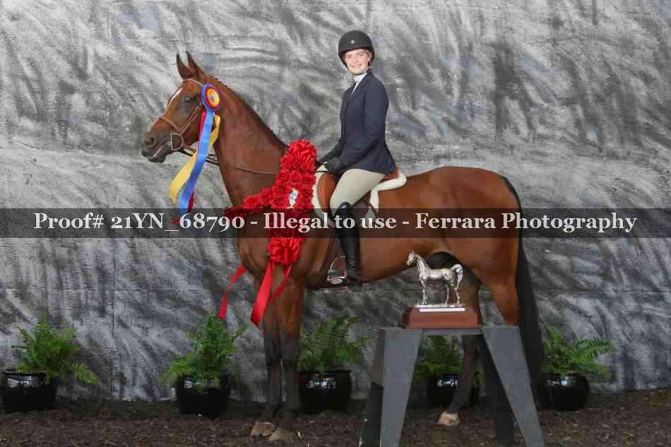 Proof 21YN_68790