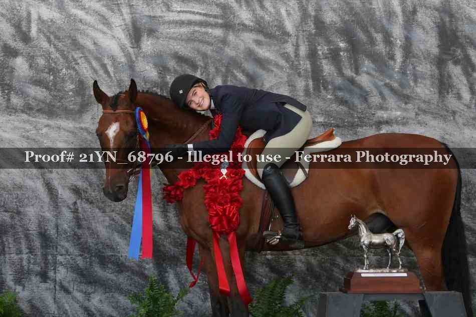 Proof 21YN_68796