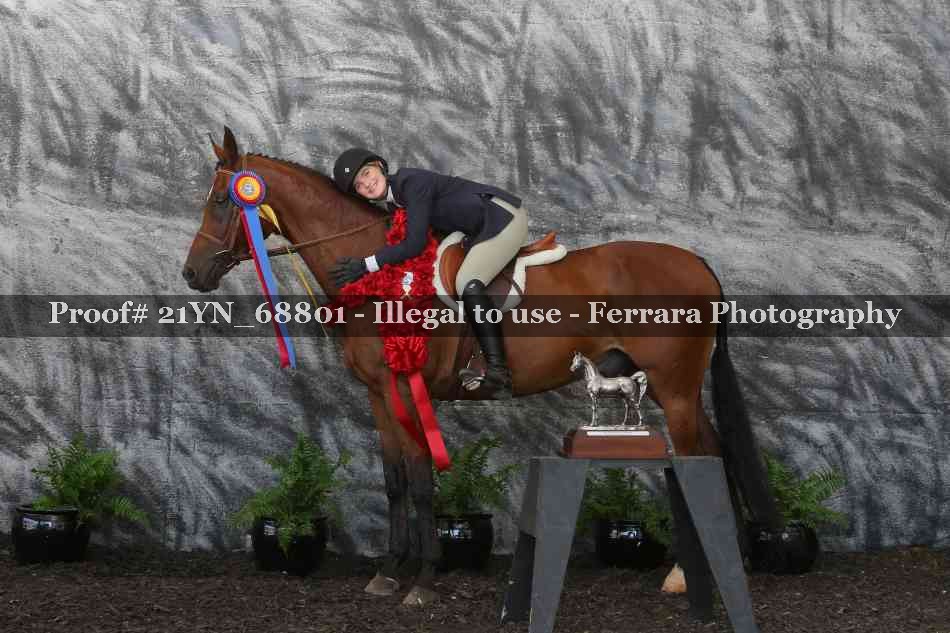 Proof 21YN_68801
