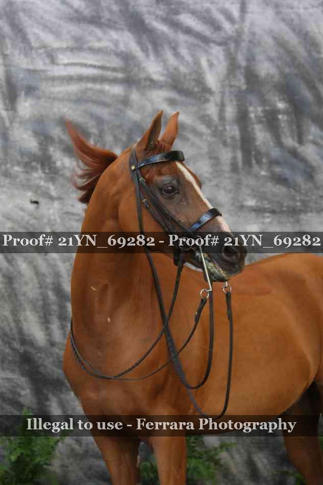 Proof 21YN_69282