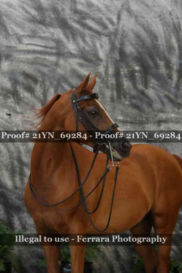Proof 21YN_69284