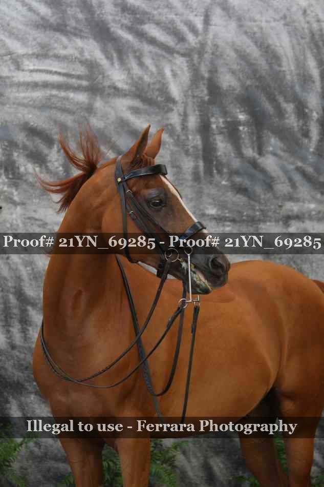 Proof 21YN_69285