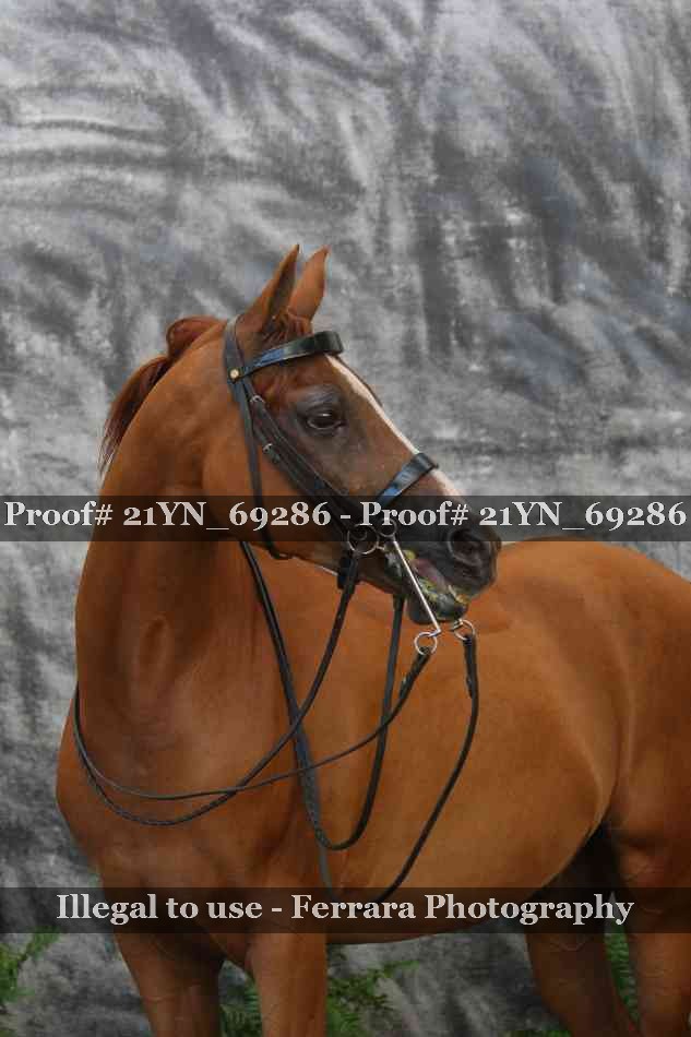 Proof 21YN_69286