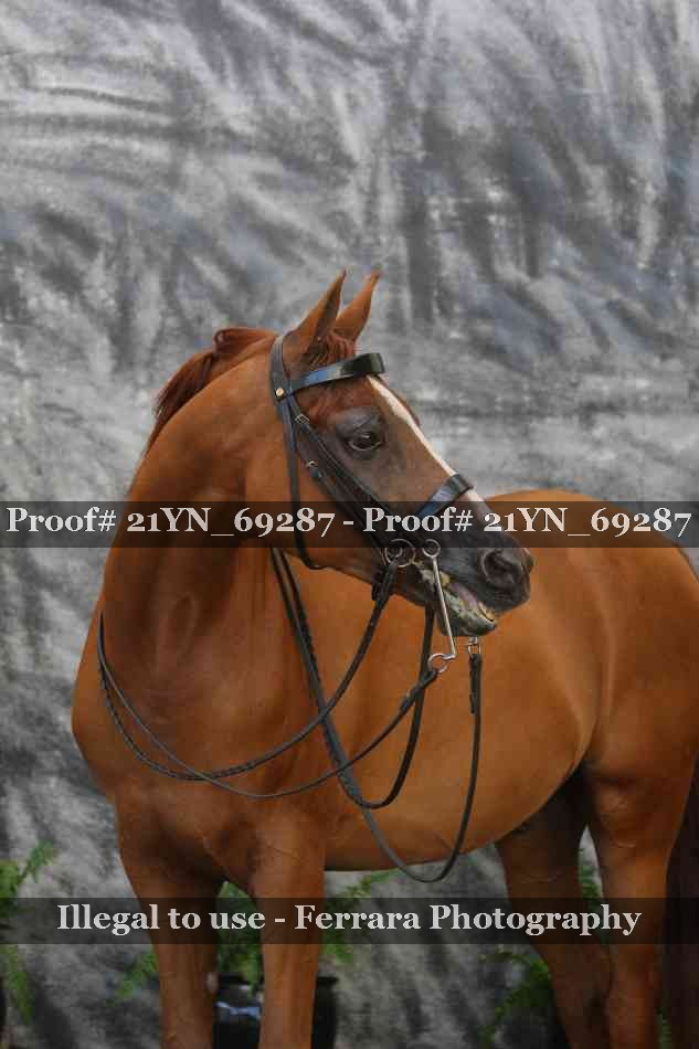 Proof 21YN_69287
