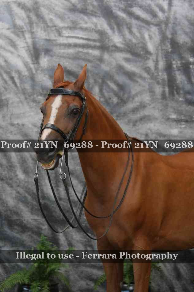 Proof 21YN_69288