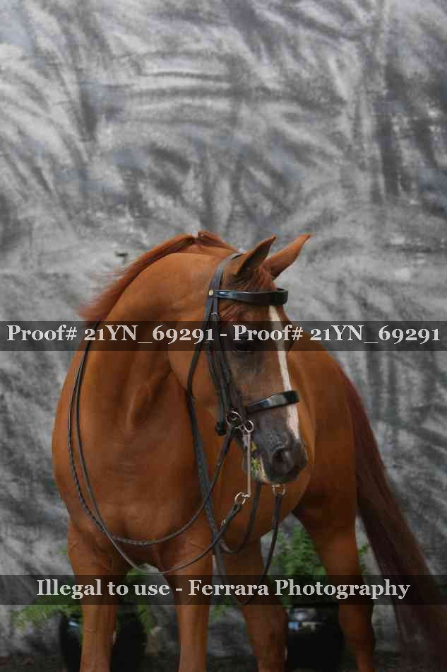 Proof 21YN_69291