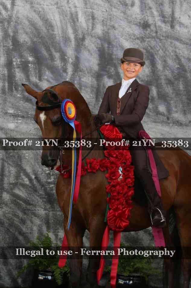 Proof 21YN_35383