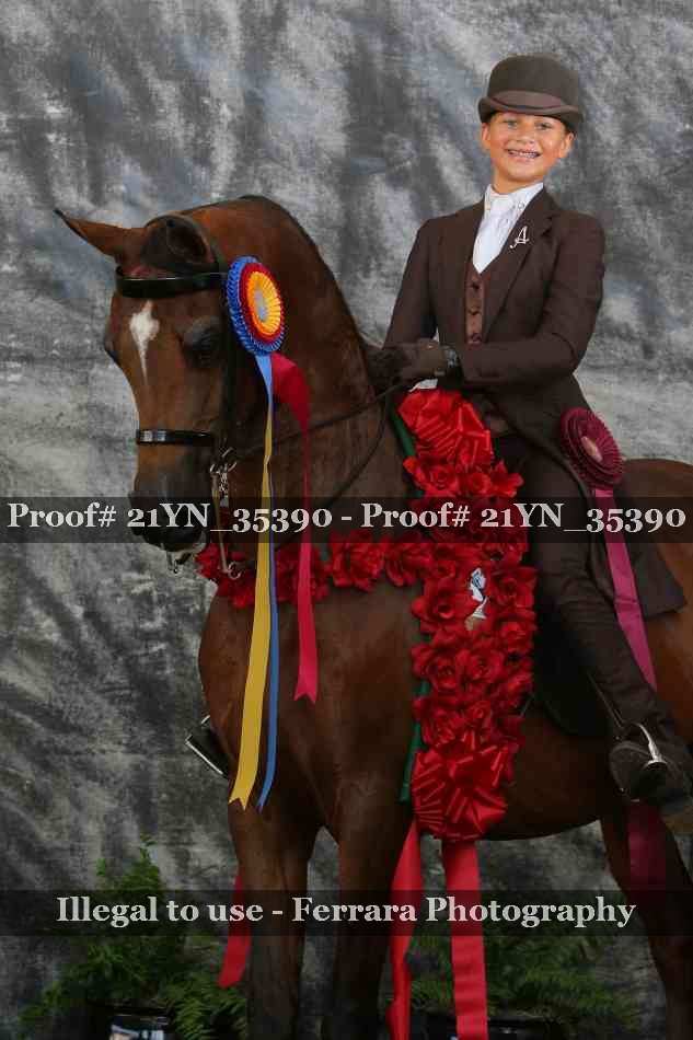 Proof 21YN_35390