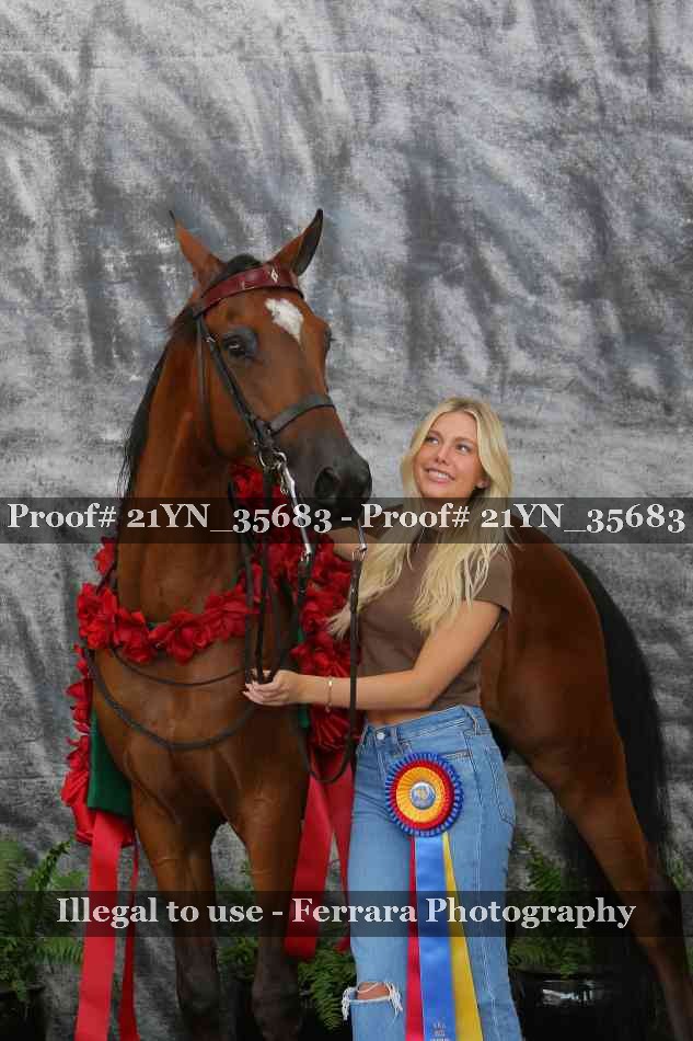 Proof 21YN_35683