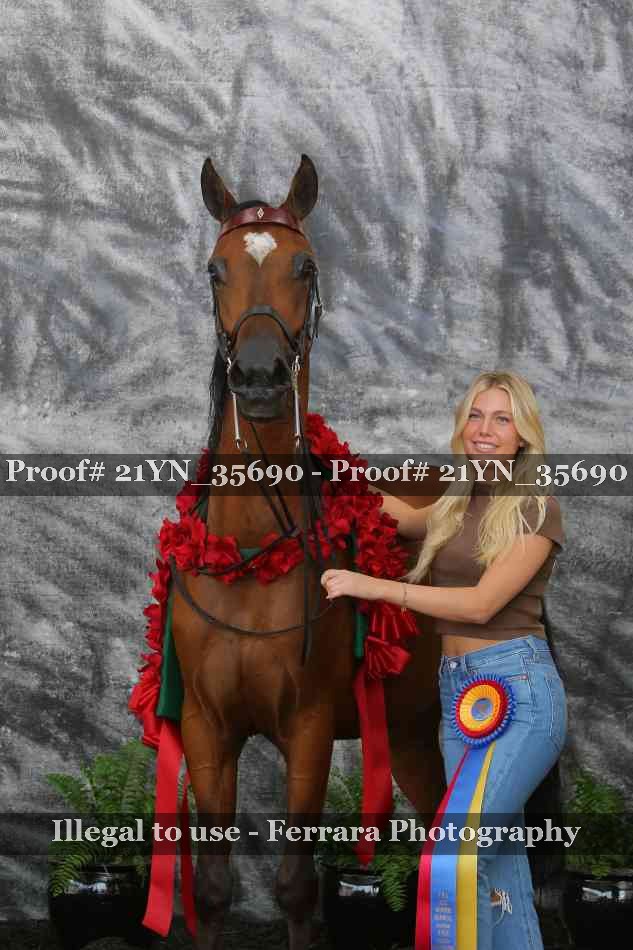 Proof 21YN_35690