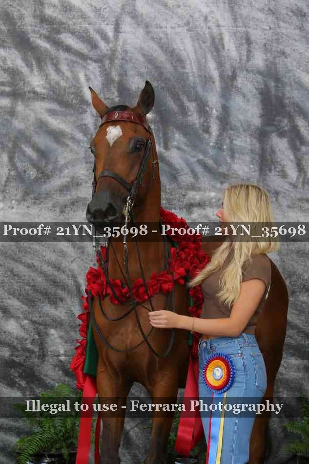 Proof 21YN_35698