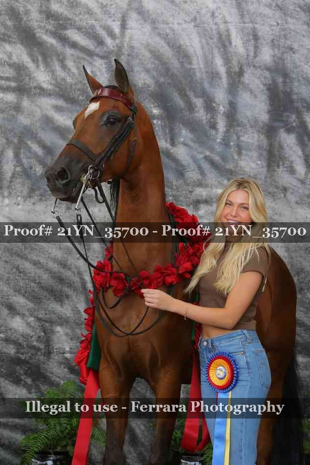 Proof 21YN_35700