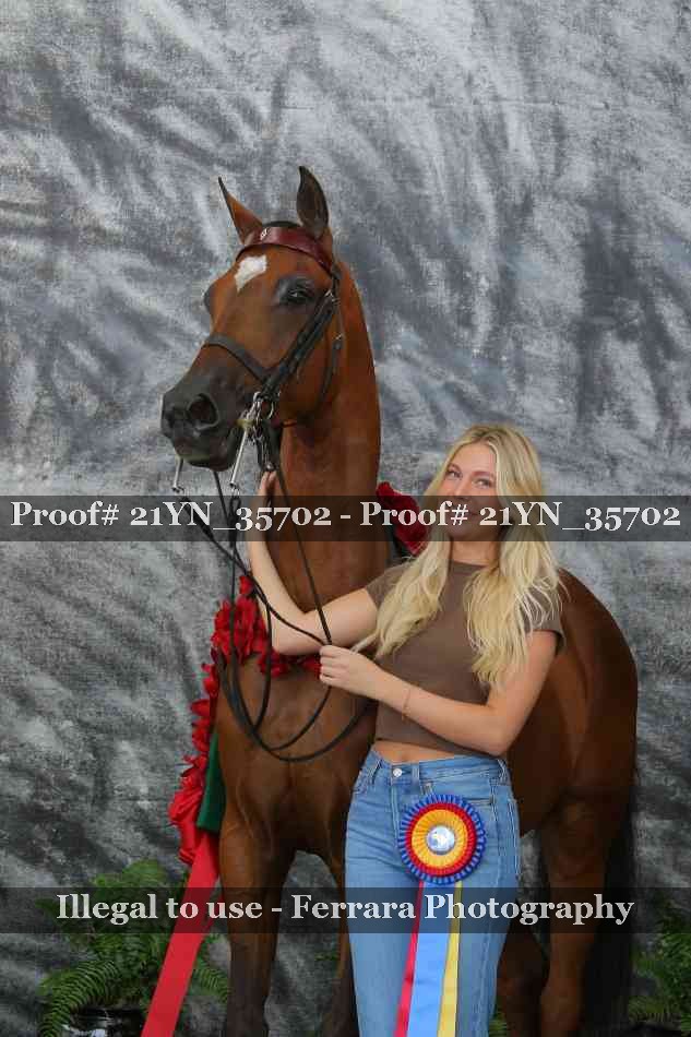 Proof 21YN_35702
