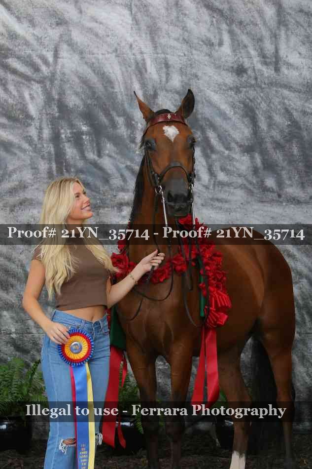 Proof 21YN_35714