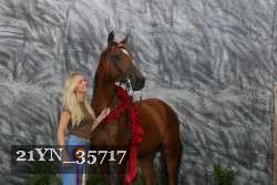21YN_35717 proof